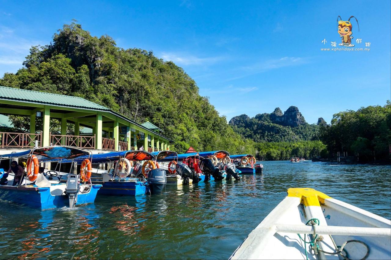 Mangrove Tour Langkawi: Eksplorasi Ekosistem Pesisir yang Menakjubkan